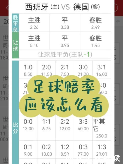世界杯下注APP：操作简单新手友好平台